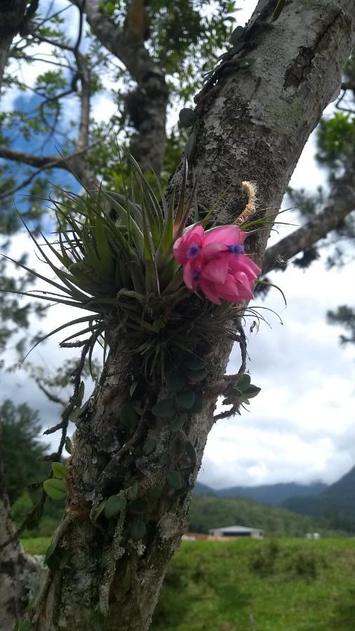 Hostel E Pousada Vale Mirante Da Rocha Timbe do Sul 외부 사진