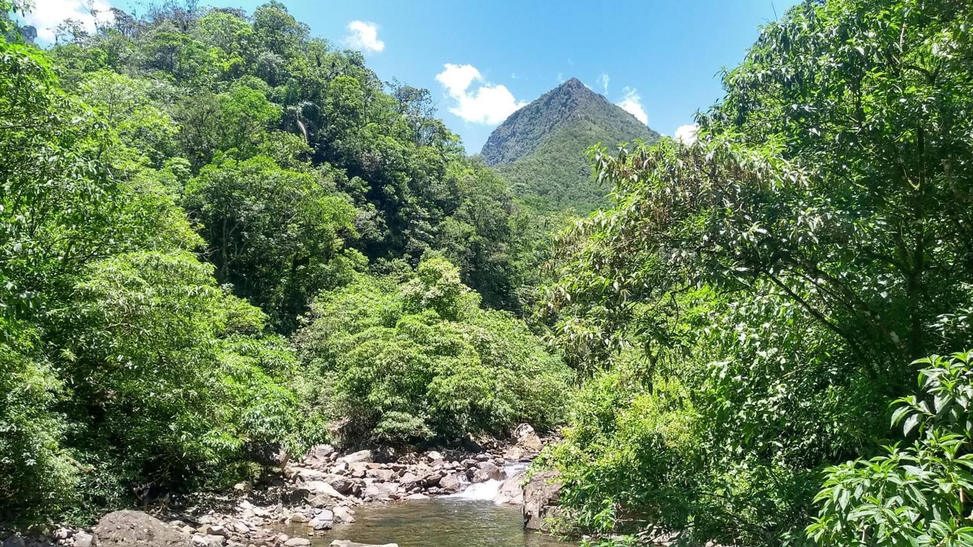 Hostel E Pousada Vale Mirante Da Rocha Timbe do Sul 외부 사진